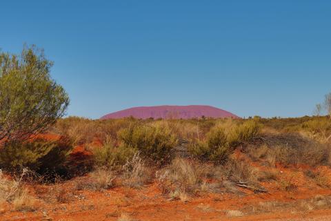 Unser letzer Blick auf den Uluru