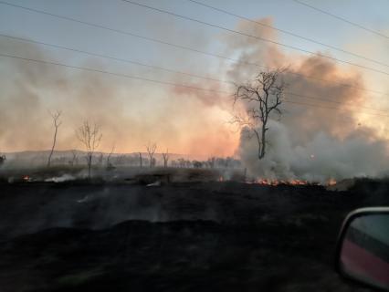 Kleiner Waldbrand am Straßenrand, nicht weiter schlimm.