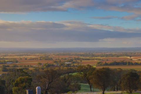 Barossa Valley